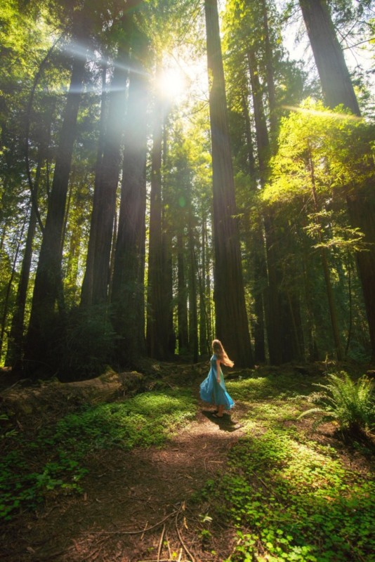 instagram-girl-redwoods-534x800.jpg