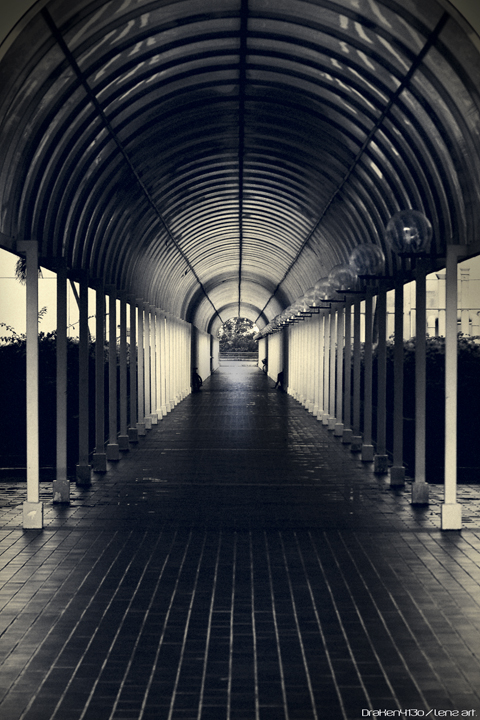 The_Afterwalk_by_Draken413o.jpg