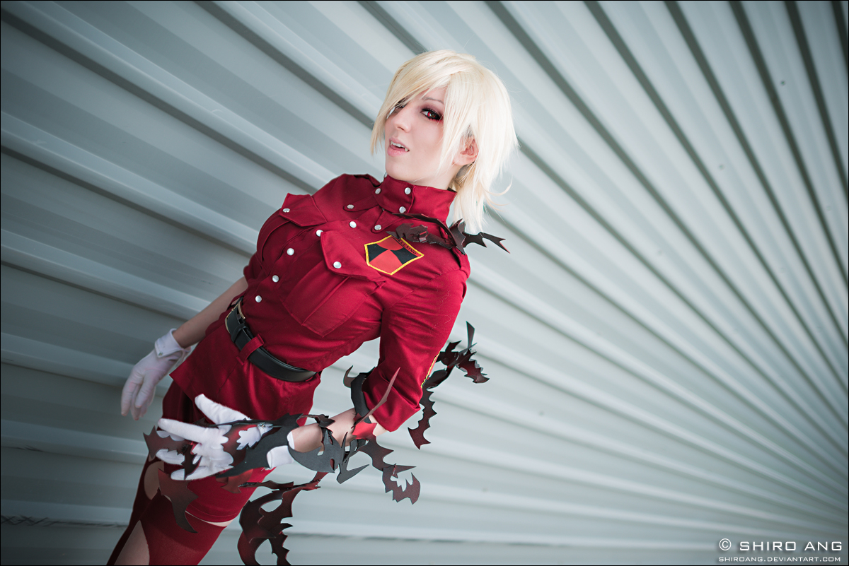 afa_2012___hellsing___01_by_shiroang-d5lp4pm.jpg