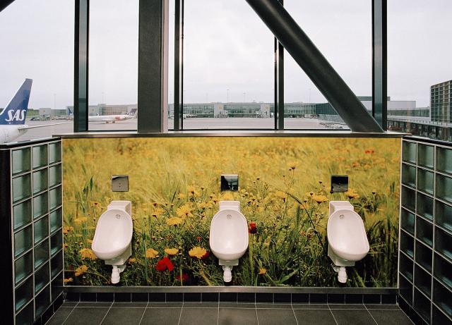 ARLANDA_T5_2.med.jpg