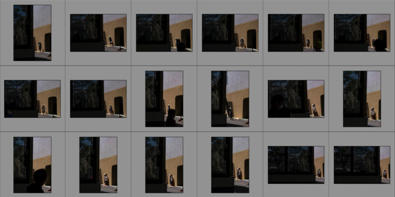 Lightroom-Grid-Cull-800x400.jpg