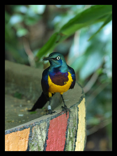 Birdpark%202002099.jpg