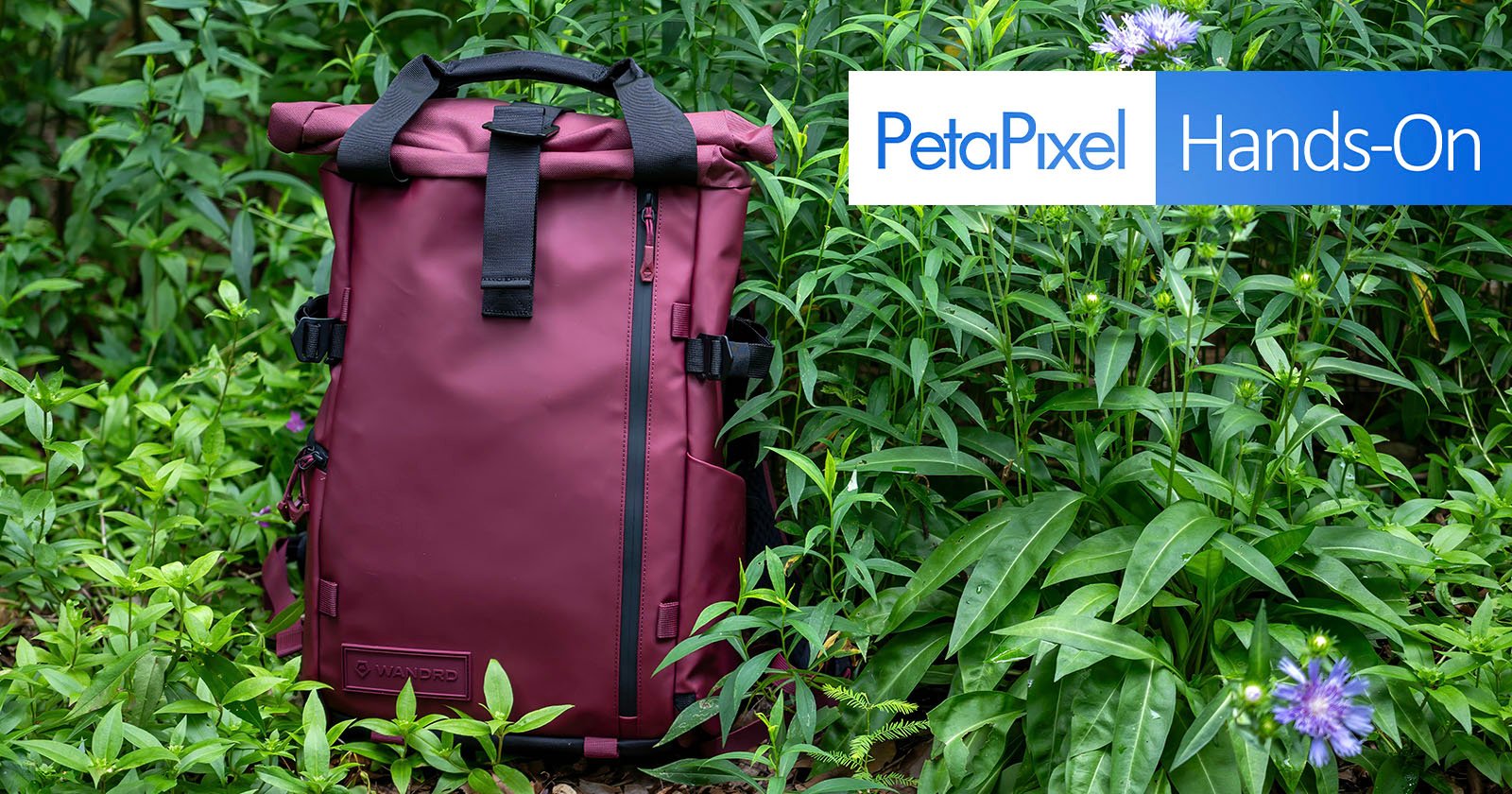 A maroon backpack stands upright among lush green plants, with purple flowers nearby. An overlay in the top right reads PetaPixel Hands-On in blue and white text.