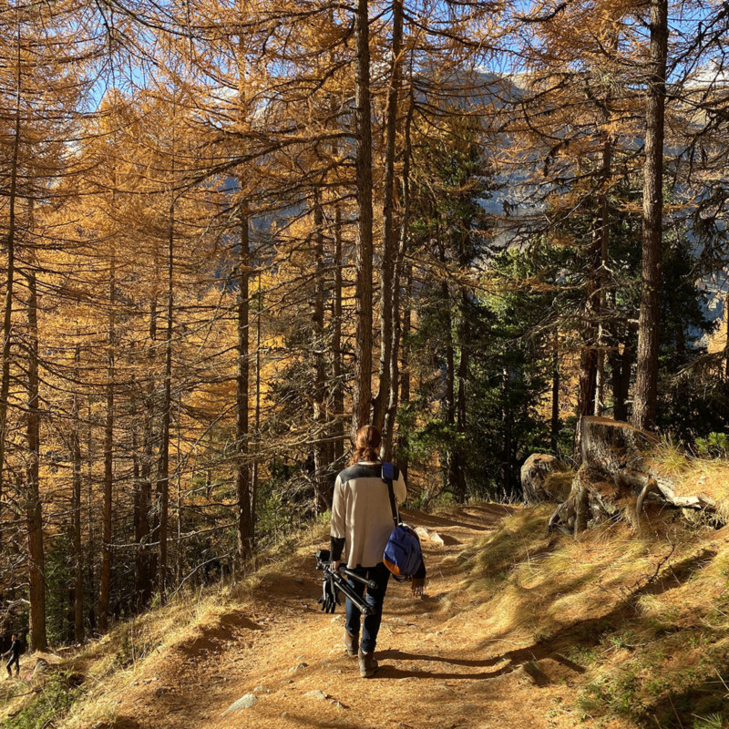 zermatt_907x_tripod-800x800.jpg