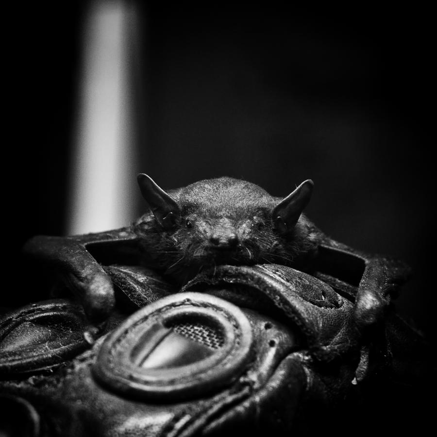 I_AM_DRACULA_AH_AH_by_Draken413o.jpg