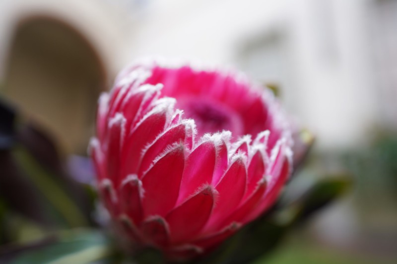 sample1-800x533.jpeg