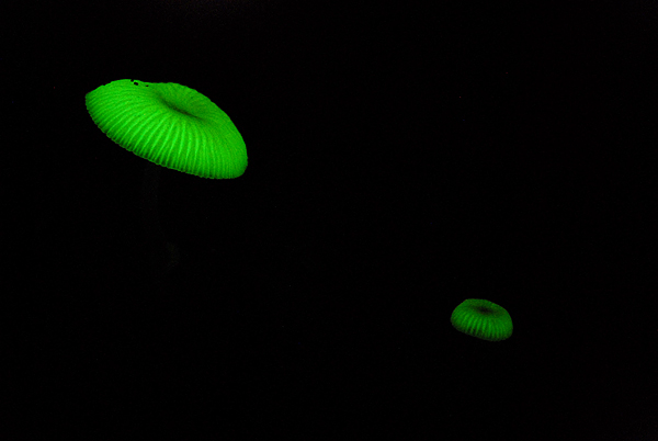 129043878.jpg