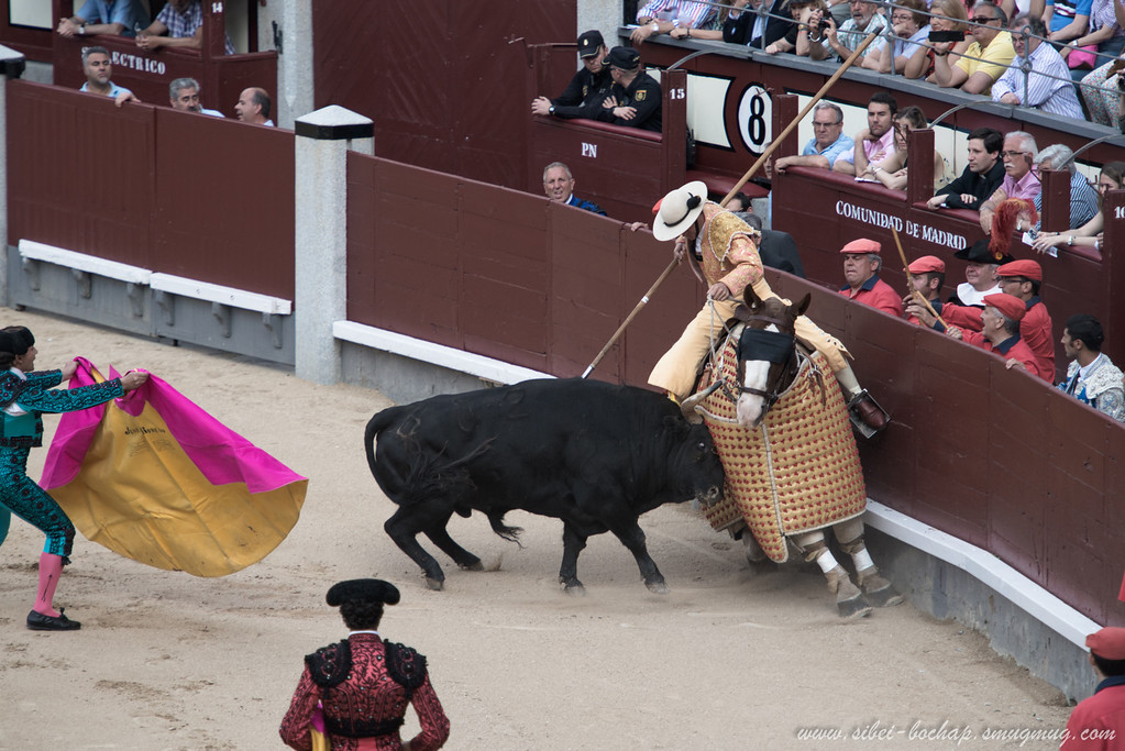 DSC7622-XL.jpg