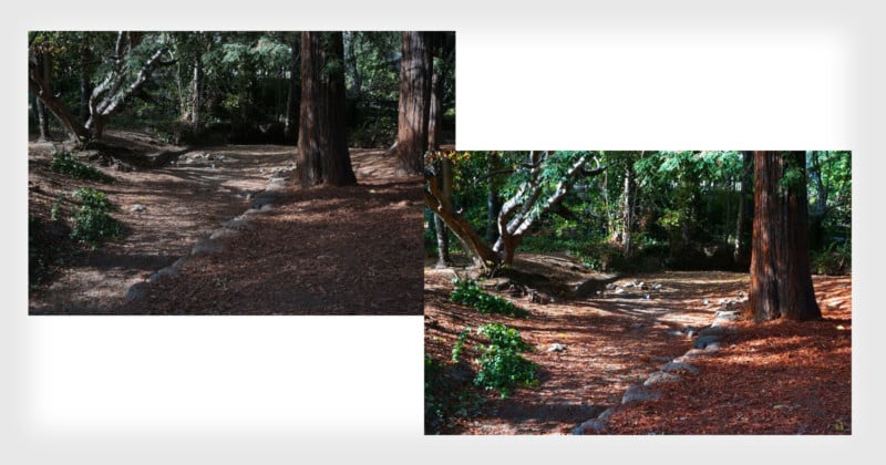 basiceditsfeat-800x420.jpg