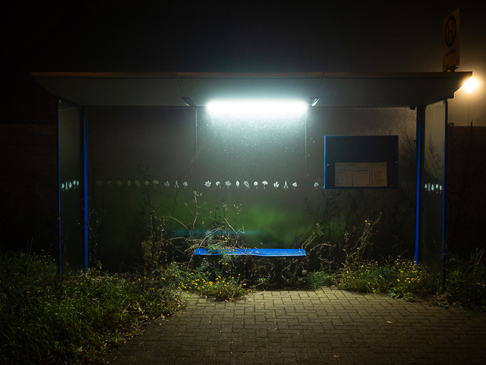 What the Fog? 7 Tips for Moody Photographs