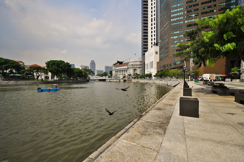 DSC_0745.jpg