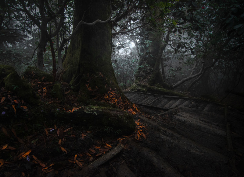 TO-THE-UNKNOWN-800x582.jpg