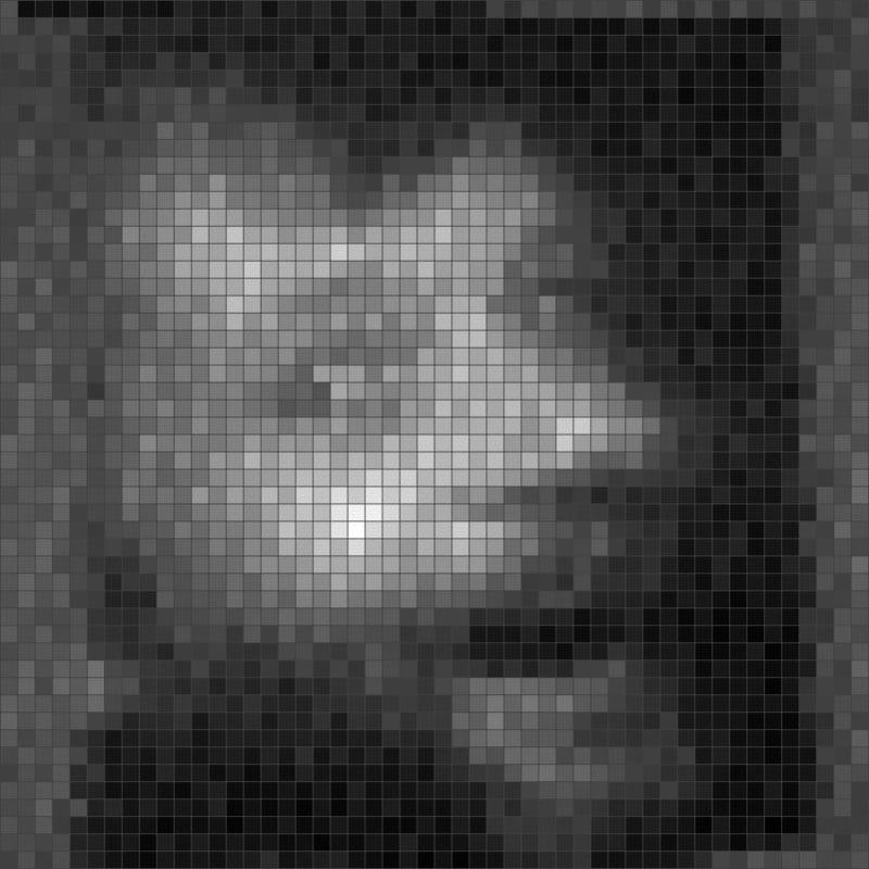 selfie08-800x800.jpg
