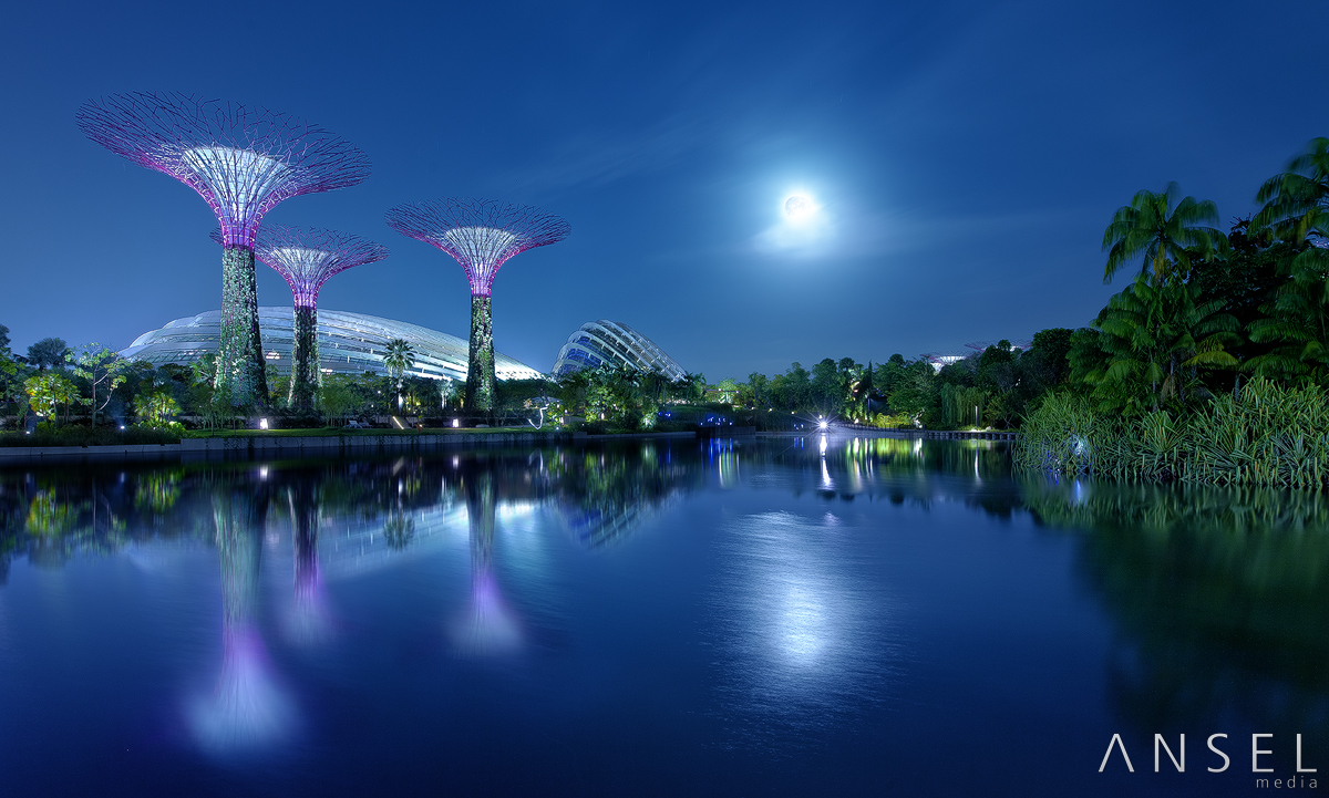 z_amazonia_by_draken413o-d6f0aes.jpg