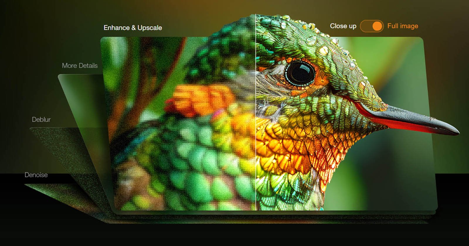 Image of a colorful bird's head, showing a close-up view with intricate feather details. The left side is less detailed with visible noise, while the right side is enhanced and smoothly detailed. Text on the image indicates options for More Details, Deblur, Denoise, and toggles for Enhance & Upscale, and Close Up.