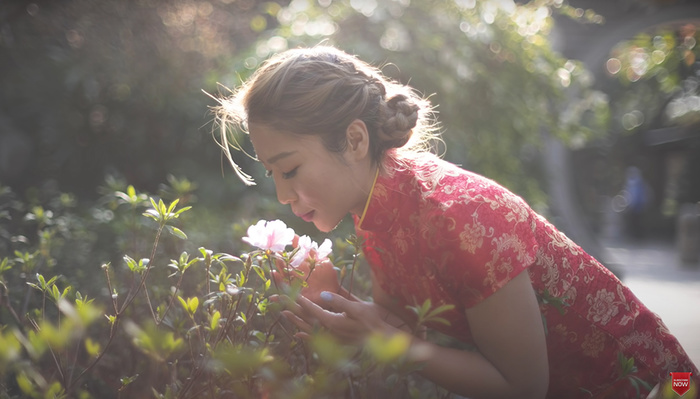 Are Modern or Vintage Lenses Better for Your Work?