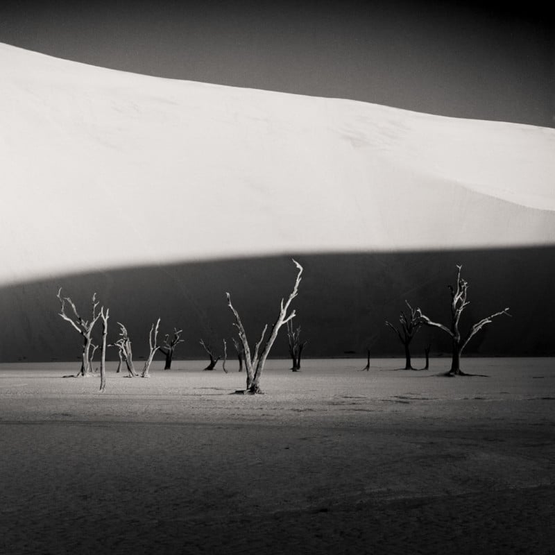 Sossusvlei-Trees-by-Hector-Izquierdo-Seliva-800x800.jpg