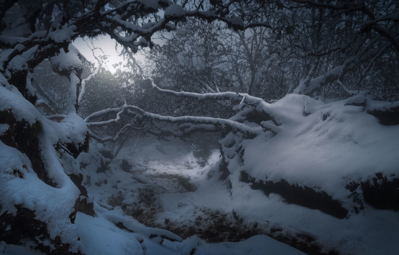 WINTERS-GATE-800x512.jpg