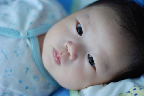 816902322_1334a201ba.jpg