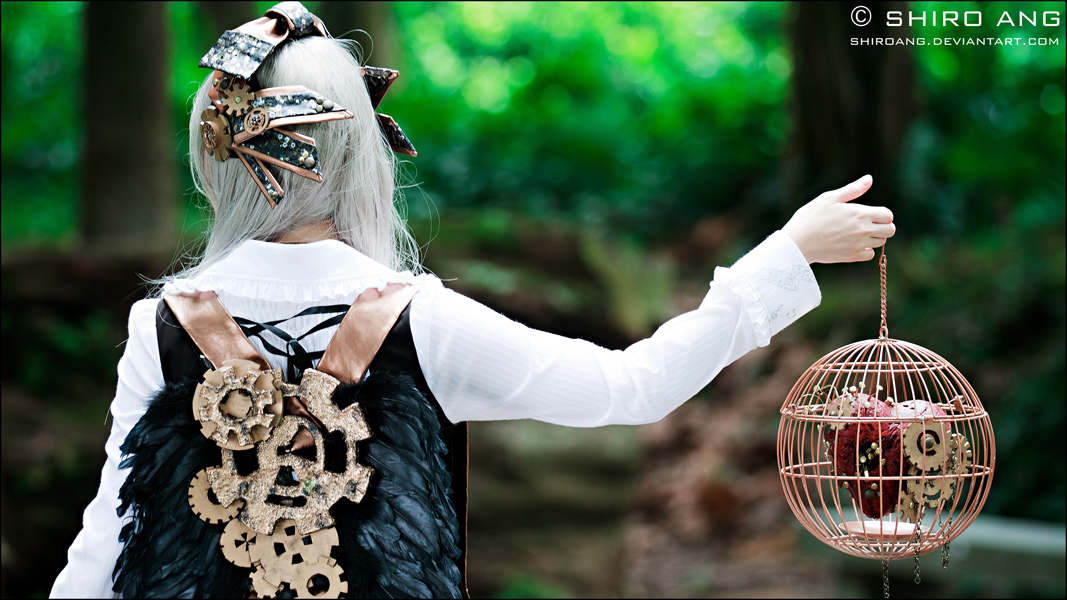 alice_in_steampunkland_by_shiroang-d3aod74.jpg