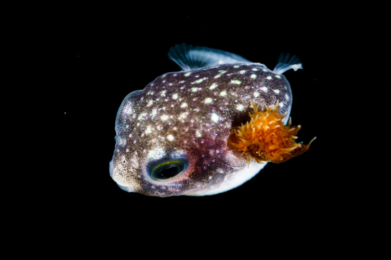 F8409861-Edit-800x533.jpg