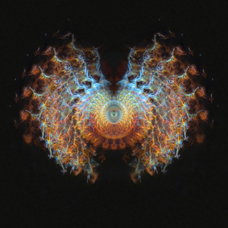 2.Veil_VisionC-800x800.jpg