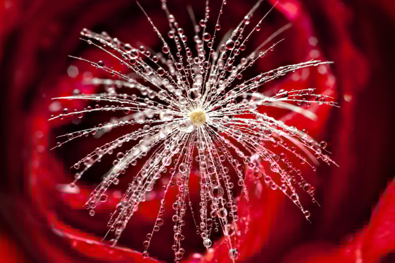 refracted_1-800x533.jpg