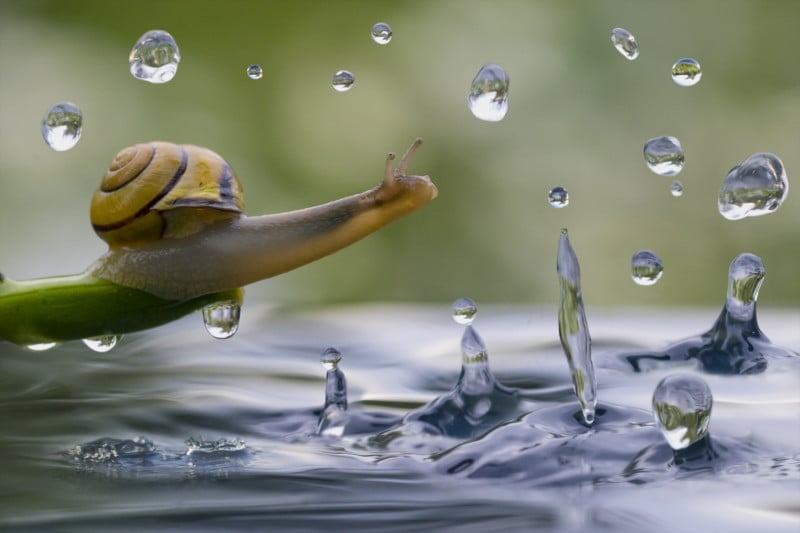 8-TPOTY-2020-Win8-VAlekseev-800x533.jpg