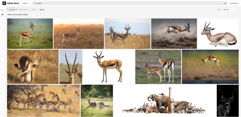 Visual-search-smarter-8-800x390.jpg