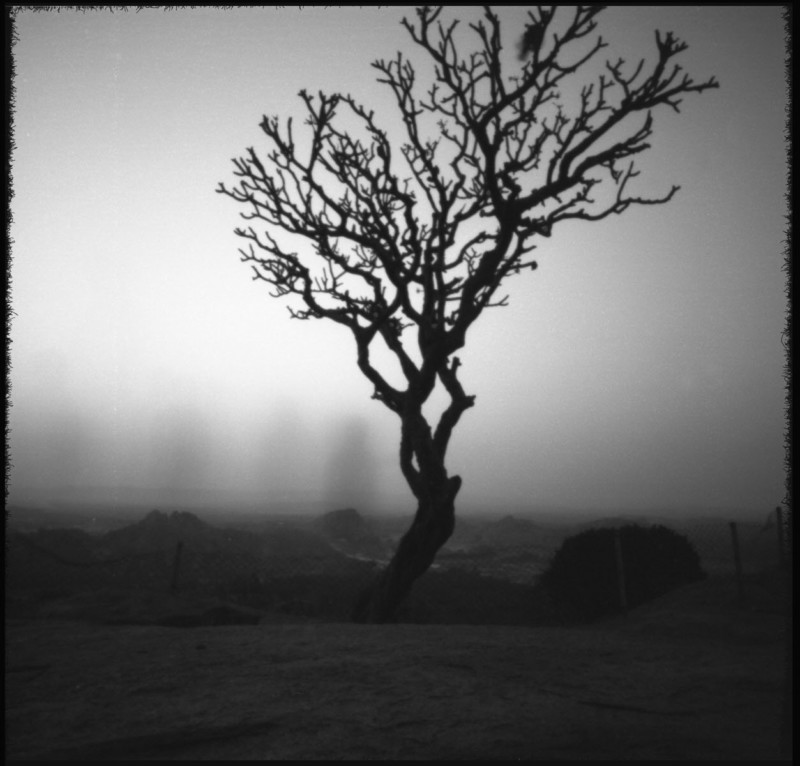 FROM-EMULATION-TO-EMULSION-9-800x766.jpg