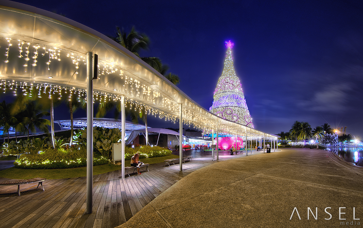 z_vivocity_xmas_tree_by_draken413o-d6wgwug.jpg