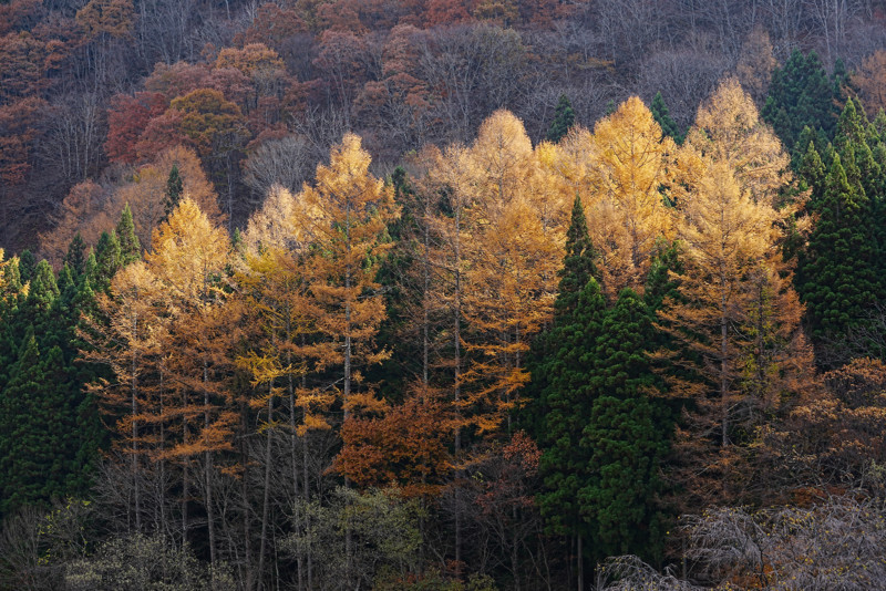 Sony-A2-sample-image-2-800x534.jpg
