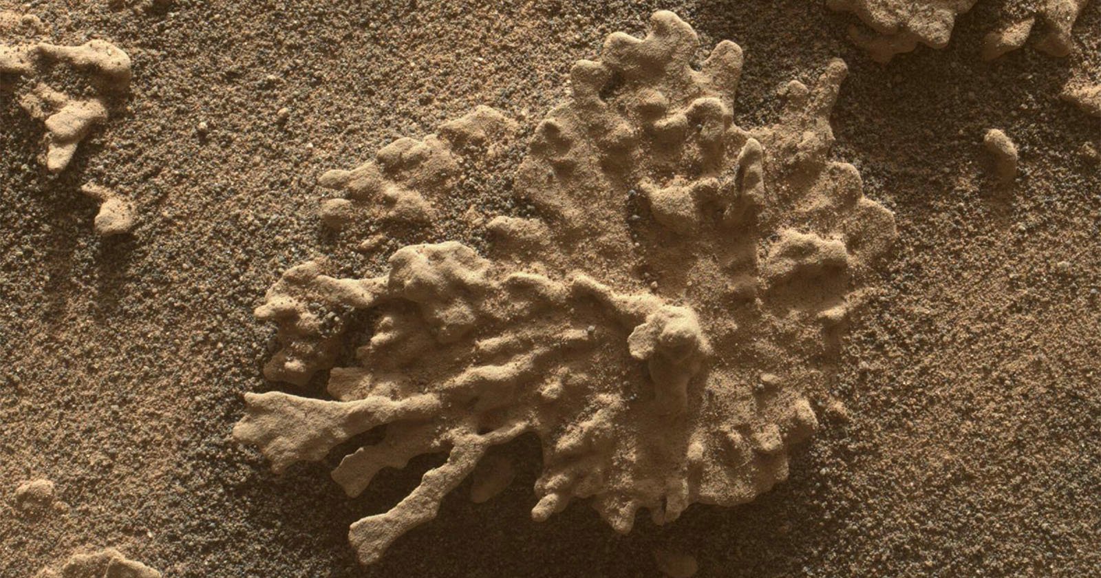 A close-up image of a textured, irregularly shaped rock formation on a sandy, grainy surface, resembling a splatter or coral-like structure, captured on the surface of Mars.