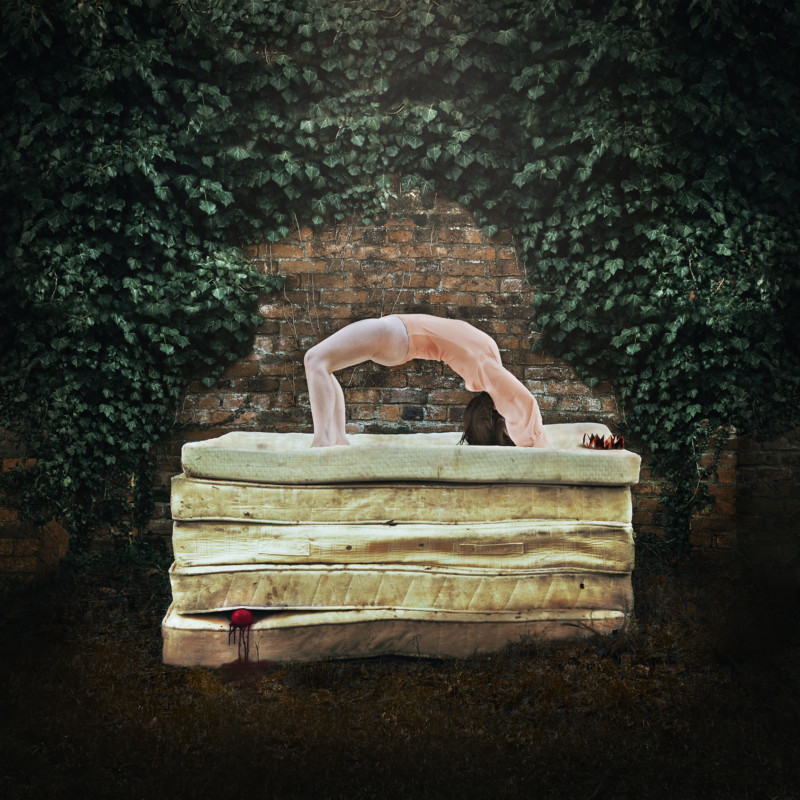 A-twisted-tale-800x800.jpg