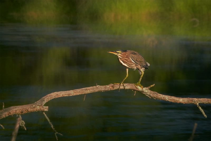 tokina-400mm-reflex-mf-lens-sample-2023-800x534.jpg