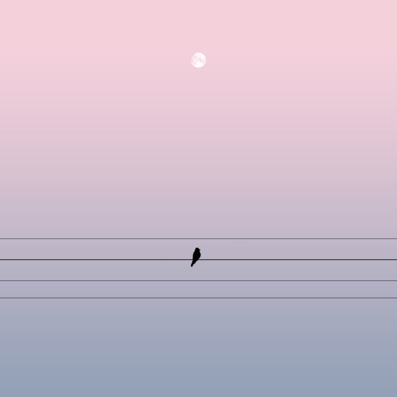 LoneBird1200-800x800.jpg