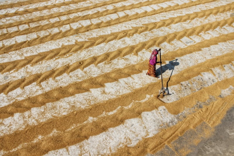 rural-india-travel-roy-petapixel-1-1-800x533.jpg