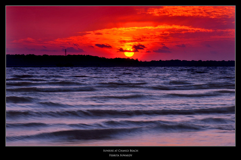 p169927207-4.jpg