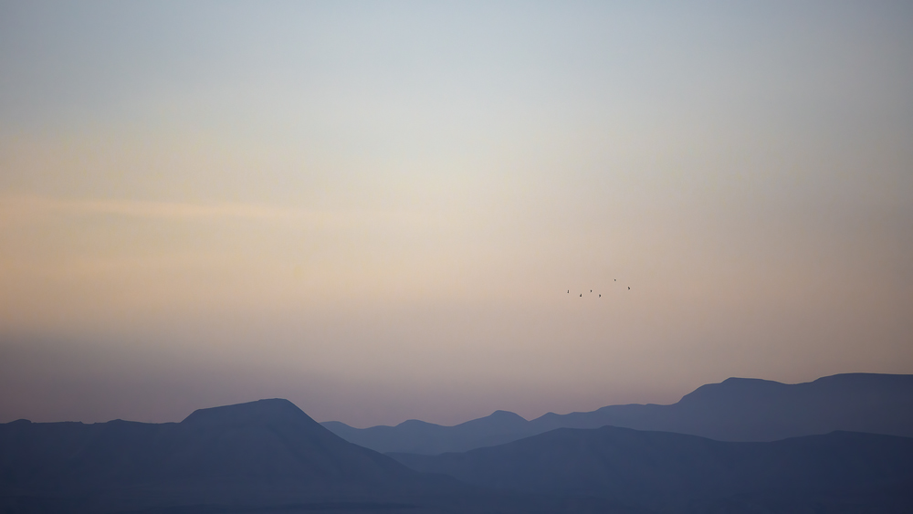 IMG_3339+1000.jpg
