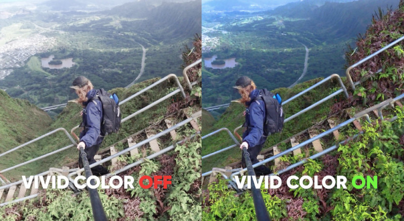 vivid-800x439.jpeg