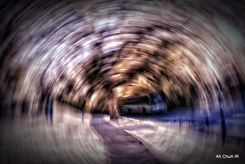 4826539350_ec22d03182_b.jpg