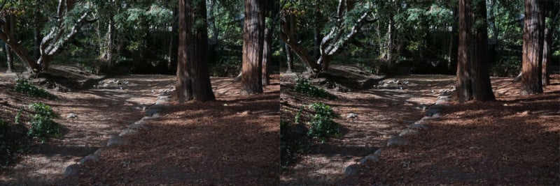 dehazebeforeafter-800x267.jpg