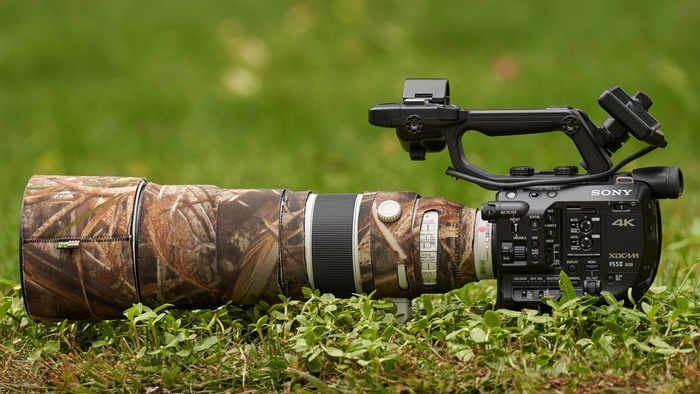 Sony FS5 II Review and Comparison to Alpha Cameras for Wildlife Filmmaking