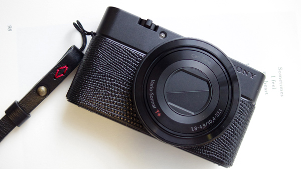 rx100_skin02.jpg