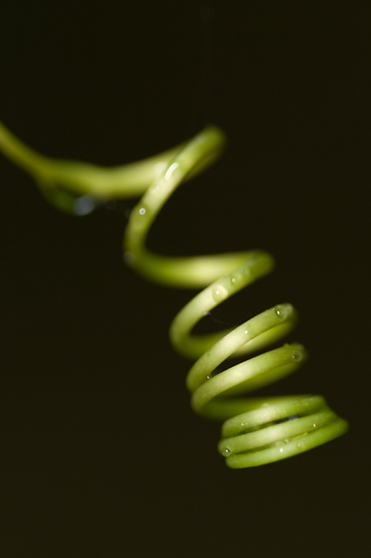 2600108759_cbef0fdd65_o.jpg