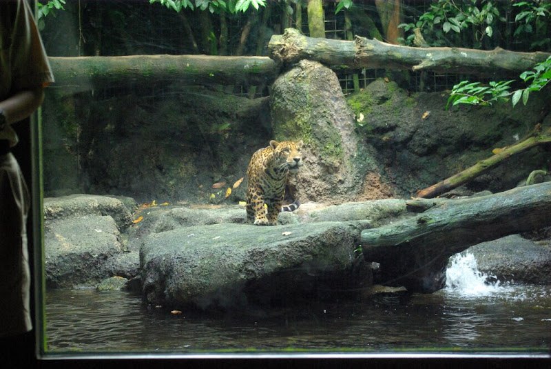 IMGP0119.JPG