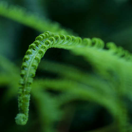 3676931362_74df87822c.jpg
