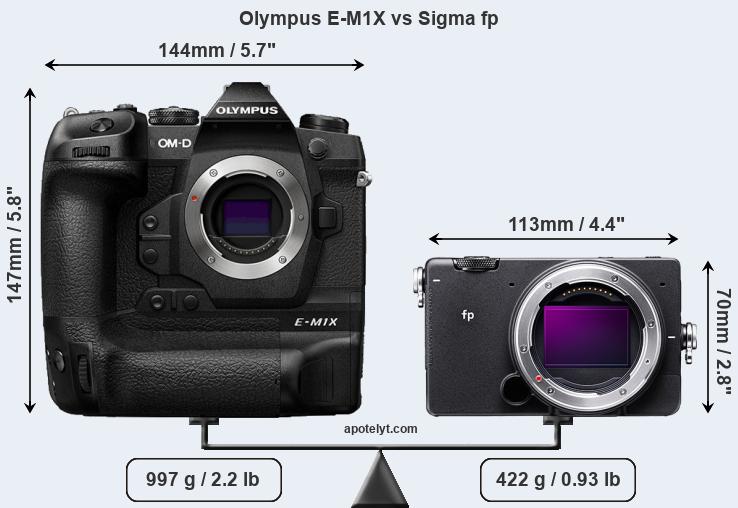 olympus-e-m1x-vs-sigma-fp-front-a.jpg