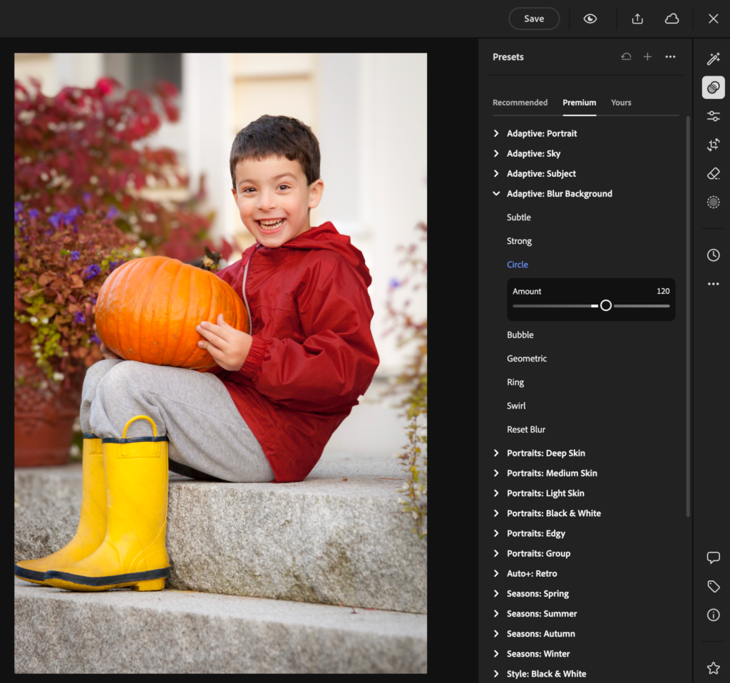 adaptiveblurpresets-02-1024x958.png
