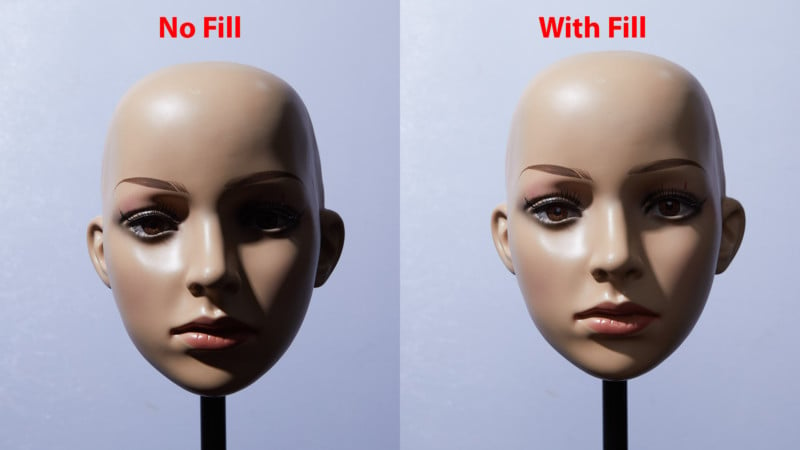 Fill-800x450.jpg